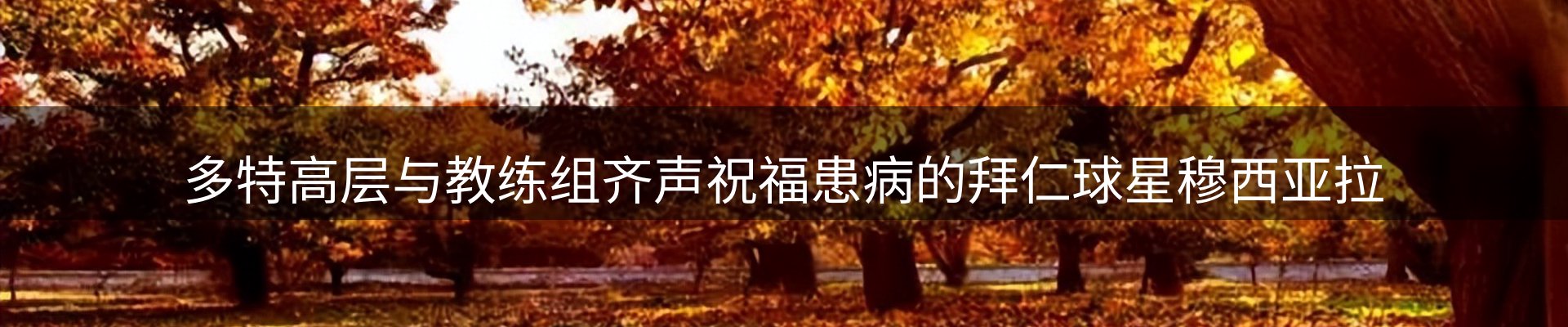 新闻中心